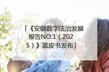 《安徽数字法治发展报告NO.1（2025）》蓝皮书发布