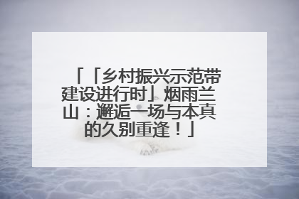 「乡村振兴示范带建设进行时」烟雨兰山：邂逅一场与本真的久别重逢！