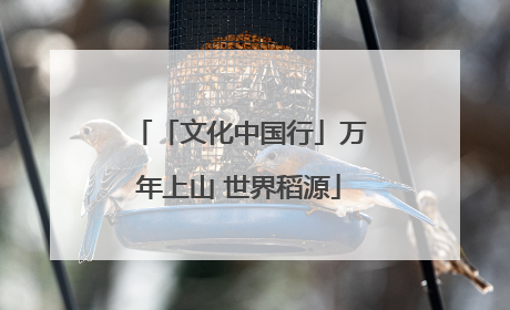 「文化中国行」万年上山 世界稻源
