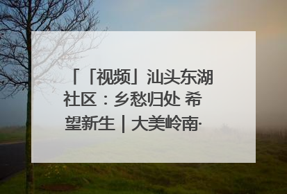 「视频」汕头东湖社区：乡愁归处 希望新生｜大美岭南·百村焕新记