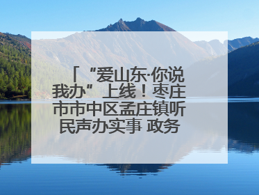 “爱山东·你说我办”上线！枣庄市市中区孟庄镇听民声办实事 政务服务暖心升级