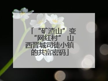 “矿渣山”变“网红村” 山西晋城司徒小镇的共富密码