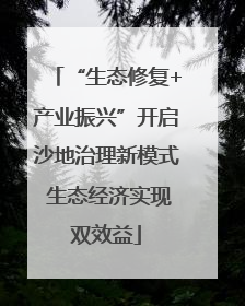 “生态修复+产业振兴”开启沙地治理新模式 生态经济实现双效益