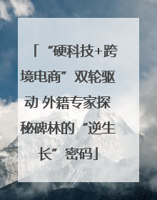 “硬科技+跨境电商”双轮驱动 外籍专家探秘碑林的“逆生长”密码