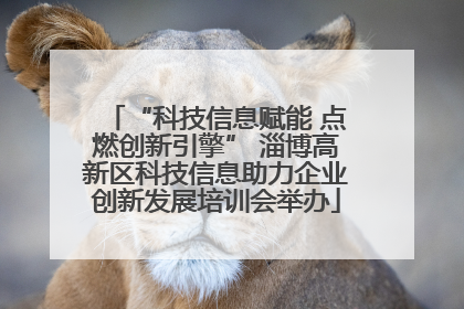 “科技信息赋能 点燃创新引擎” 淄博高新区科技信息助力企业创新发展培训会举办