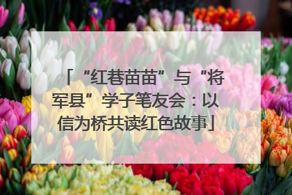 “红巷苗苗”与“将军县”学子笔友会：以信为桥共读红色故事