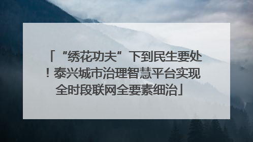 “绣花功夫”下到民生要处！泰兴城市治理智慧平台实现全时段联网全要素细治