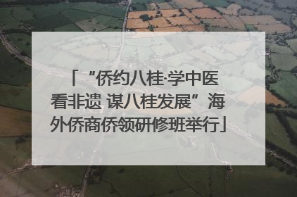 “侨约八桂·学中医 看非遗 谋八桂发展”海外侨商侨领研修班举行