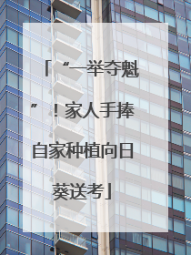 “一举夺魁”！家人手捧自家种植向日葵送考