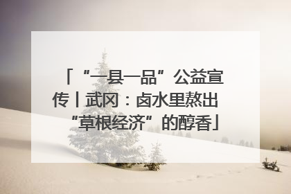 “一县一品”公益宣传丨武冈：卤水里熬出“草根经济”的醇香