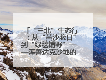 “三北”生态行：从“黄沙蔽日”到“绿毯铺野”——浑善达克沙地的“绿色重生”