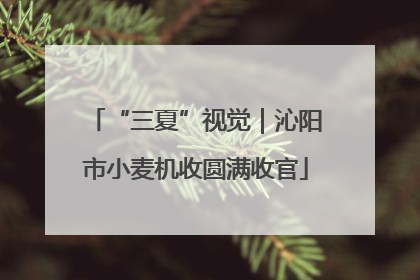 “三夏”视觉｜沁阳市小麦机收圆满收官