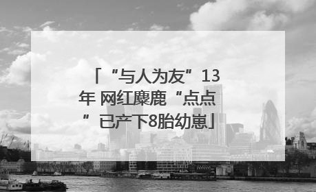 “与人为友”13年 网红麋鹿“点点”已产下8胎幼崽
