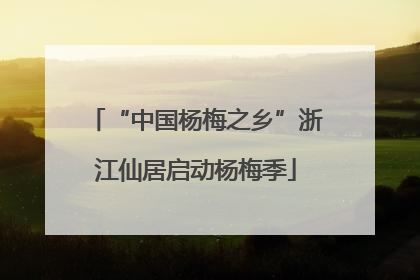 “中国杨梅之乡”浙江仙居启动杨梅季