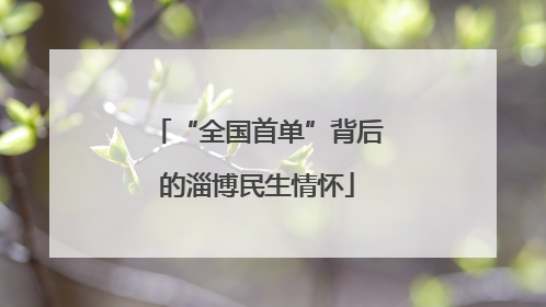 “全国首单”背后的淄博民生情怀