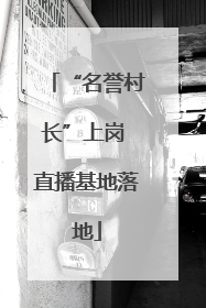 “名誉村长”上岗 直播基地落地