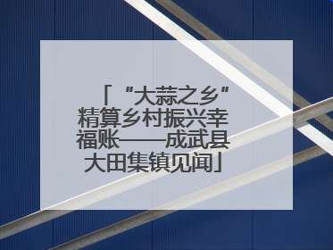 “大蒜之乡”精算乡村振兴幸福账——成武县大田集镇见闻