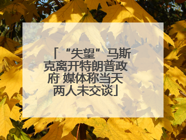 “失望”马斯克离开特朗普政府 媒体称当天两人未交谈