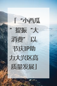 “小西瓜”提振“大消费” 以节庆IP助力大兴区高质量发展