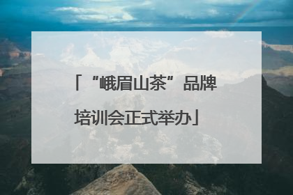 “峨眉山茶”品牌培训会正式举办