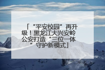 “平安校园”再升级！黑龙江大兴安岭公安打造“三位一体”守护新模式