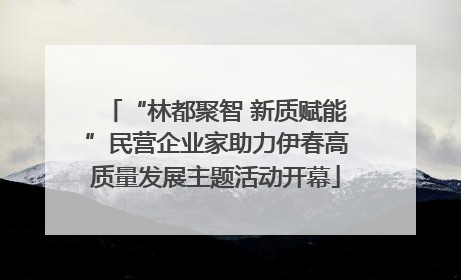 “林都聚智 新质赋能”民营企业家助力伊春高质量发展主题活动开幕