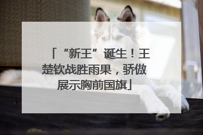 “新王”诞生！王楚钦战胜雨果，骄傲展示胸前国旗