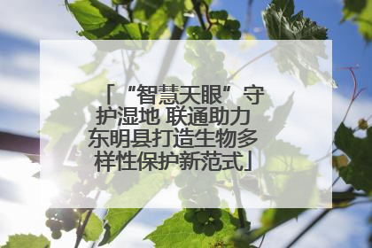 “智慧天眼”守护湿地 联通助力东明县打造生物多样性保护新范式