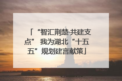 “智汇荆楚·共建支点” 我为湖北“十五五”规划建言献策