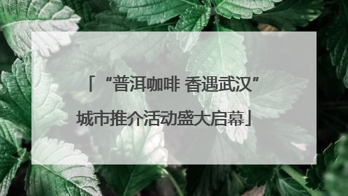 “普洱咖啡 香遇武汉”城市推介活动盛大启幕