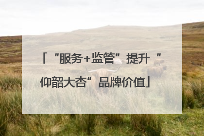 “服务+监管”提升“仰韶大杏”品牌价值
