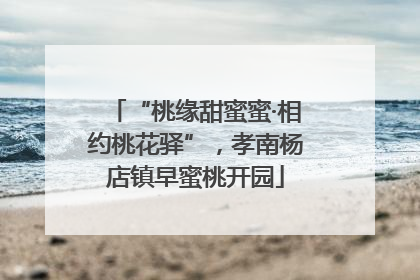 “桃缘甜蜜蜜·相约桃花驿”，孝南杨店镇早蜜桃开园