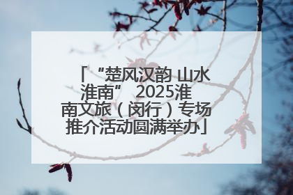 “楚风汉韵 山水淮南” 2025淮南文旅（闵行）专场推介活动圆满举办