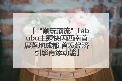 “潮玩顶流”Labubu主题快闪西南首展落地成都 首发经济引擎再添动能
