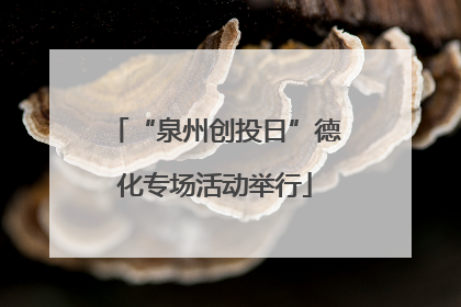 “泉州创投日”德化专场活动举行