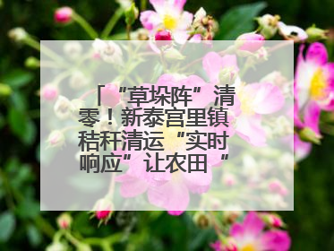 “草垛阵”清零！新泰宫里镇秸秆清运“实时响应”让农田“一键焕新”