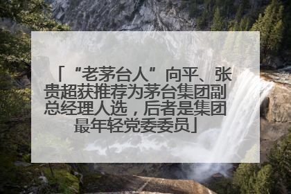“老茅台人”向平、张贵超获推荐为茅台集团副总经理人选，后者是集团最年轻党委委员