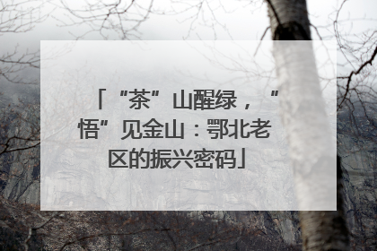 “茶”山醒绿，“悟”见金山：鄂北老区的振兴密码