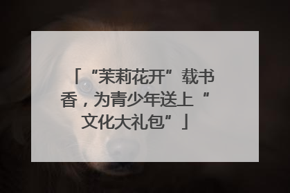 “茉莉花开”载书香，为青少年送上“文化大礼包”