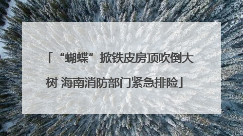 “蝴蝶”掀铁皮房顶吹倒大树 海南消防部门紧急排险