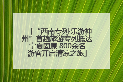 “西南专列·乐游神州”首趟旅游专列抵达宁夏固原 800余名游客开启清凉之旅