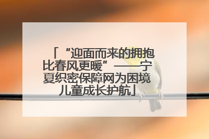 “迎面而来的拥抱比春风更暖”——宁夏织密保障网为困境儿童成长护航