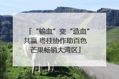 “输血”变“造血”共赢 粤桂协作助百色芒果畅销大湾区