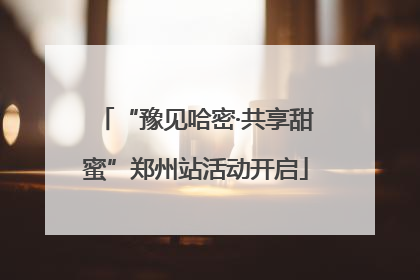 “豫见哈密·共享甜蜜”郑州站活动开启