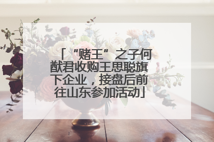“赌王”之子何猷君收购王思聪旗下企业，接盘后前往山东参加活动