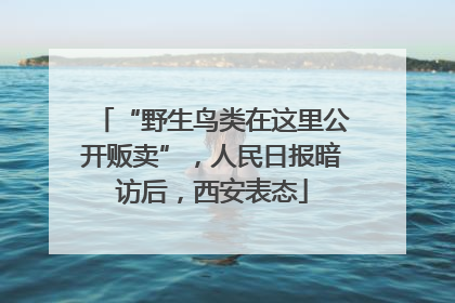“野生鸟类在这里公开贩卖”，人民日报暗访后，西安表态