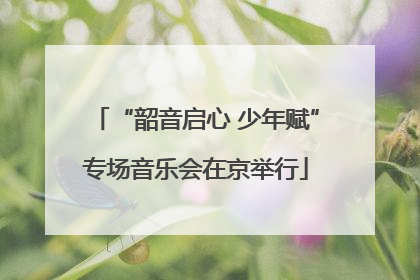 “韶音启心 少年赋”专场音乐会在京举行
