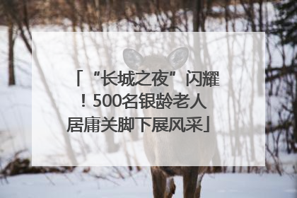 “长城之夜”闪耀！500名银龄老人居庸关脚下展风采
