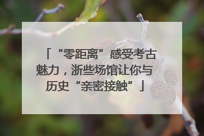 “零距离”感受考古魅力，浙些场馆让你与历史“亲密接触”