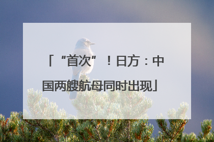 “首次”！日方：中国两艘航母同时出现